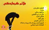۷ راهکار برای برون رفت از گرما زدگی