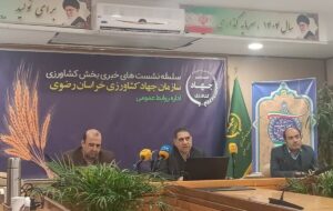 خراسان رضوی با ۴۶ مگاوات، پیشتاز توسعه برق خورشیدی کشاورزی کشور شد